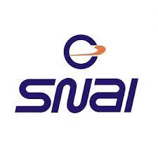 logo snai